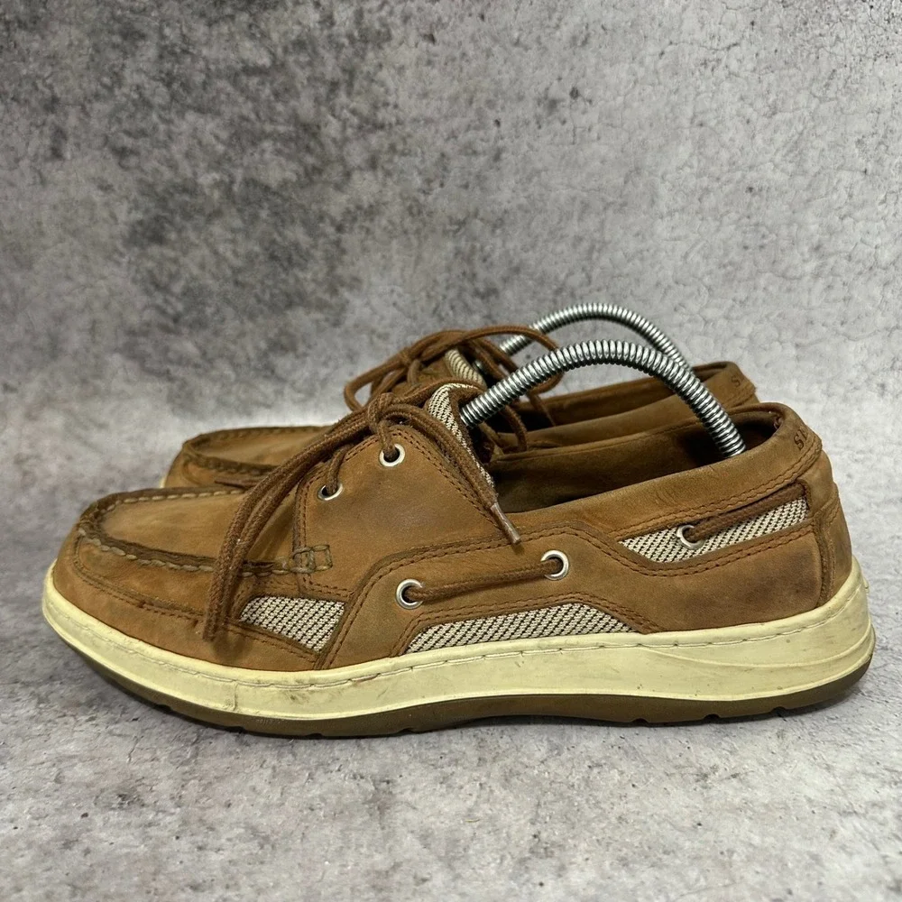 Sebago please see